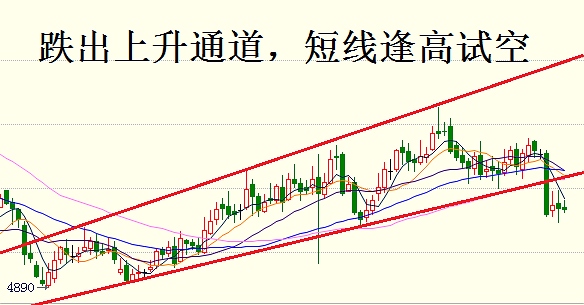 查看更多精彩图片